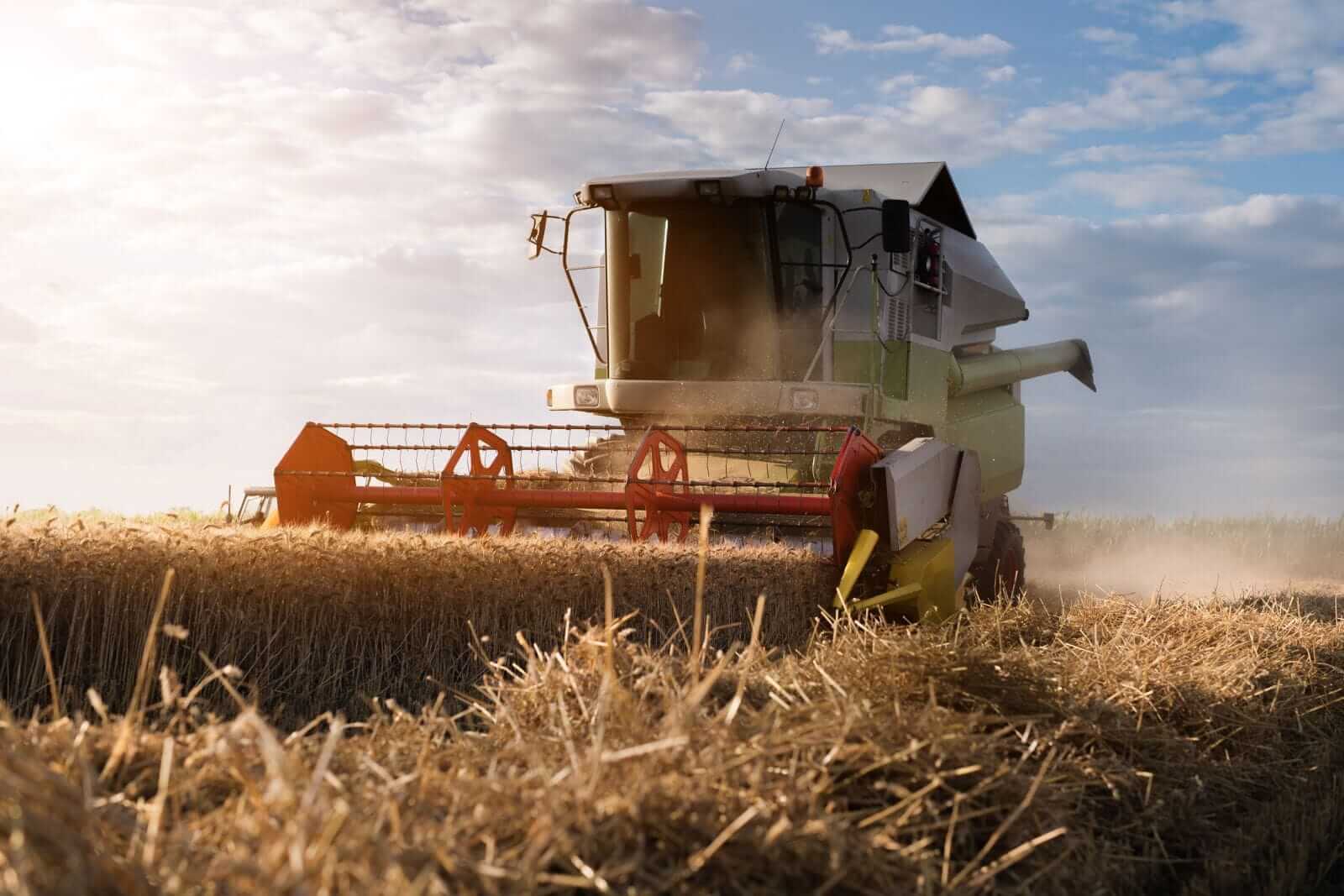 Wheat Posts Double Digit Monday Gains