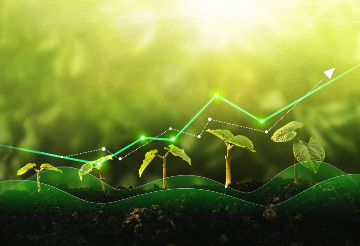 Top Discounted TSX Dividend Stocks to Snap Up Now